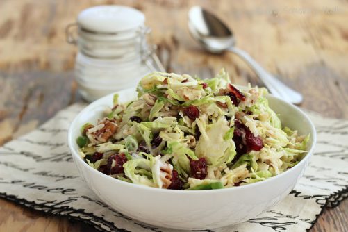 Holiday Slaw with Greek Yogurt Dressing|Craving Something Healthy