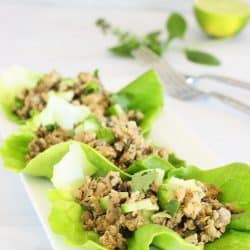 Thai Turkey Mushroom Larb Salad