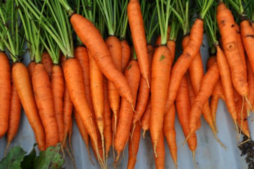 Carrot Cake Overnight Oatmeal