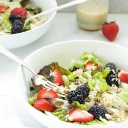 Chicken Berry Brown Rice Bowls| Craving Something Healthy