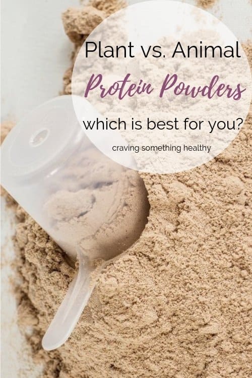 Plant vs. Animal Protein Powders: Which is Best for You? | Craving Something Healthy