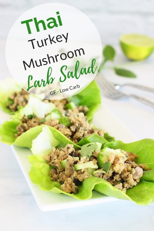 Thai Turkey Mushroom Larb Salad | Craving Something Healthy